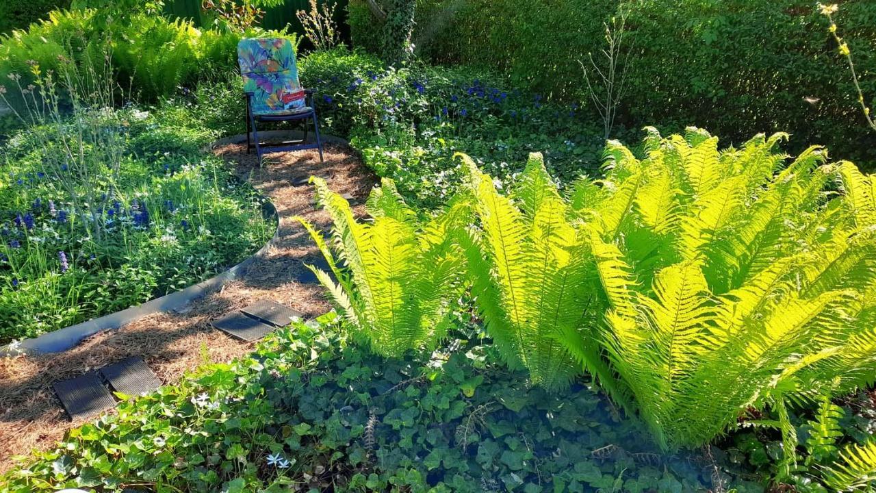 Mitten Im Seenland Und Spreewaldnah, Schoener Garten Storkow  Exterior foto