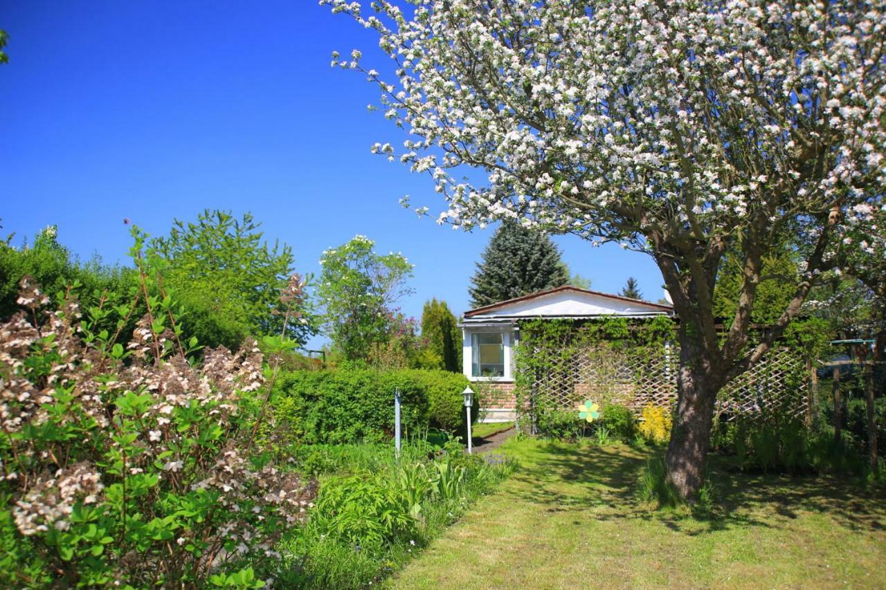 Mitten Im Seenland Und Spreewaldnah, Schoener Garten Storkow  Exterior foto